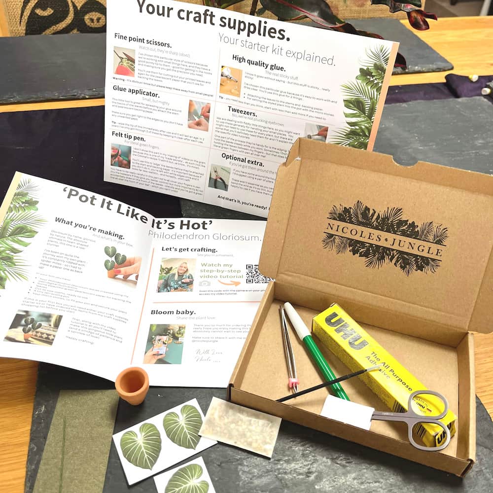 Eve's make your own paper plant subscription box delivery laid out on a table
