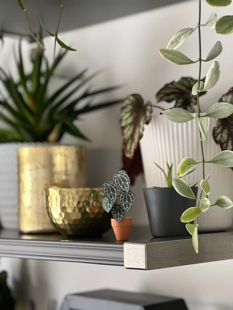 A paper plant on a shelf with real plants and ornaments in the background