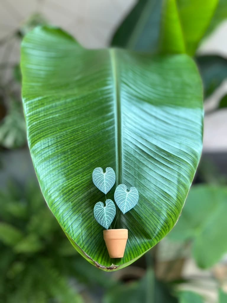 A paper plant balanced on a leaf