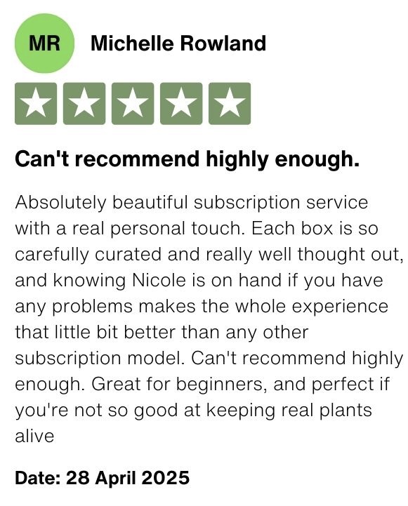 692-michelle-review-17459095038398.jpeg