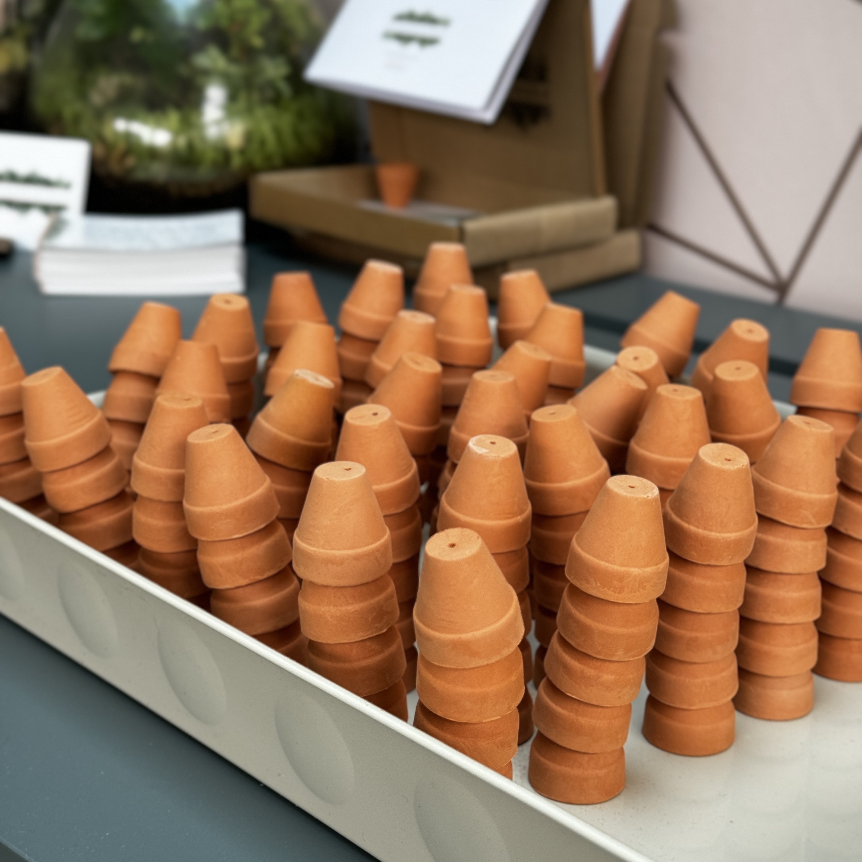 It’s all gone to pot - tiny pots, big problems