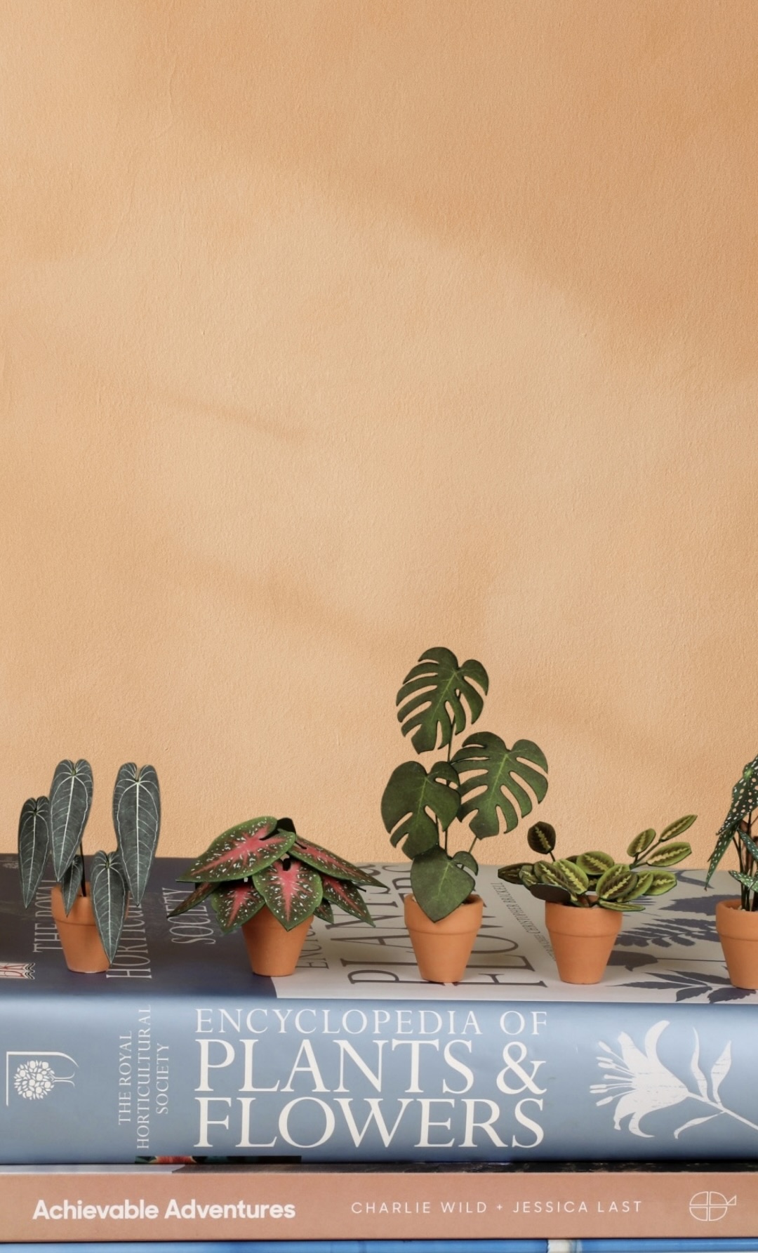 r620-mob-more-plants-1750659624486.jpeg