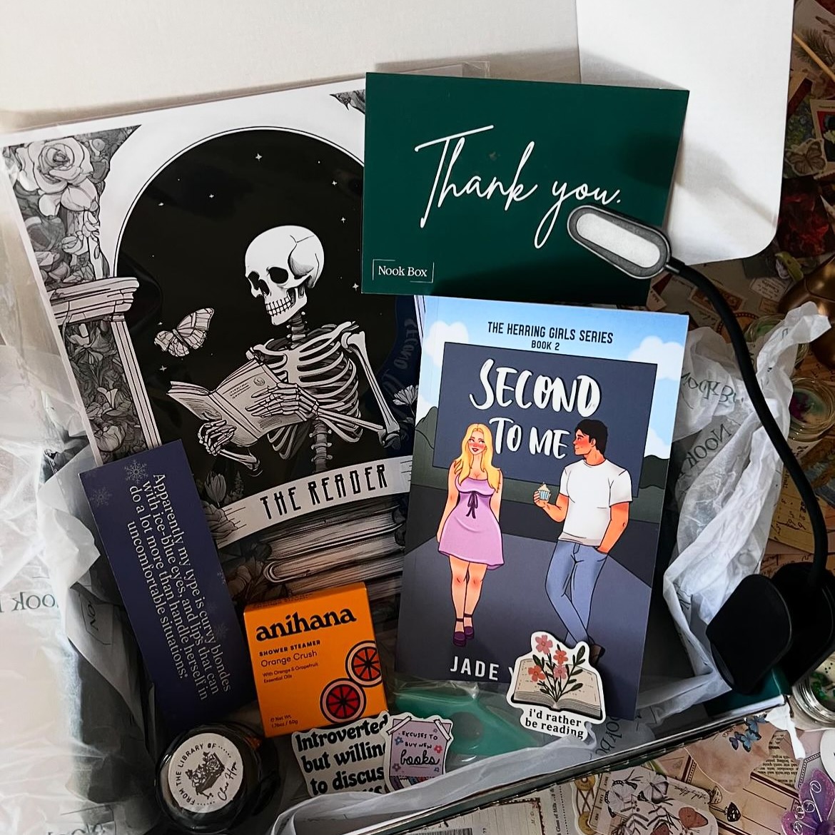 📦 Unboxing the First Nook Box: September 2024 Edition