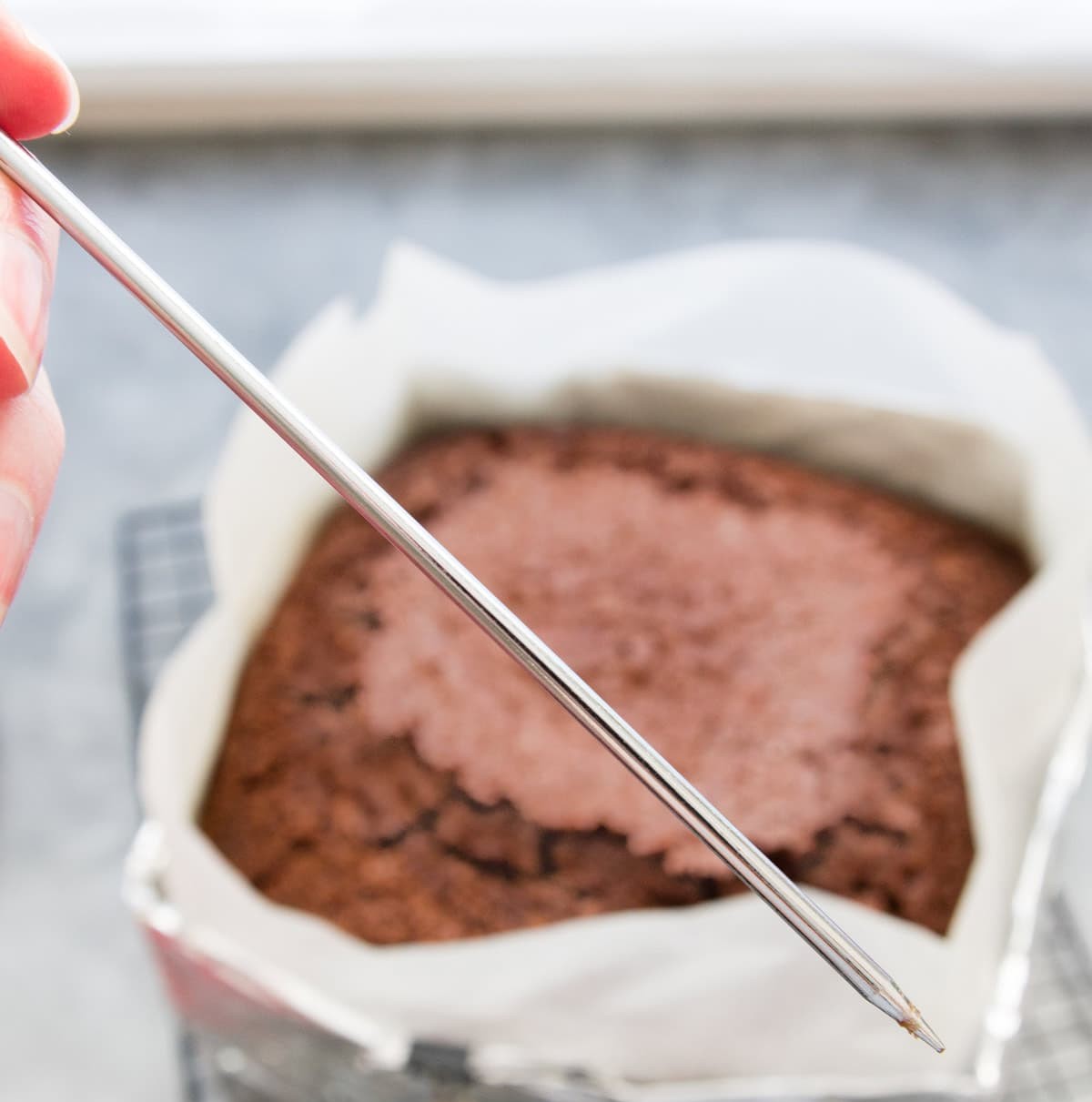 00120012111083-how-to-make-sure-your-cake-is-cooked-skewer-test-16911016367046.jpeg