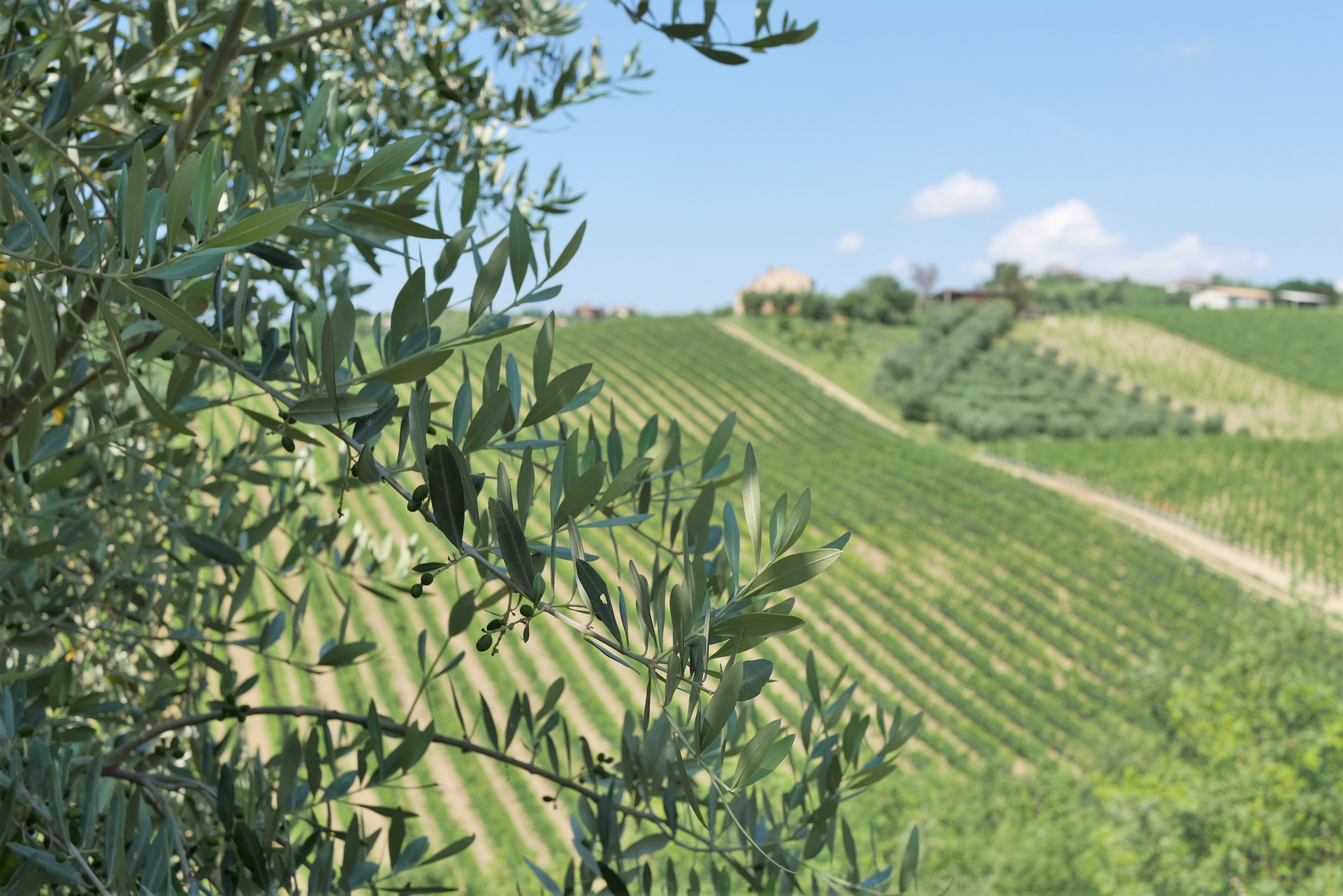 3979-banner-1.jpg