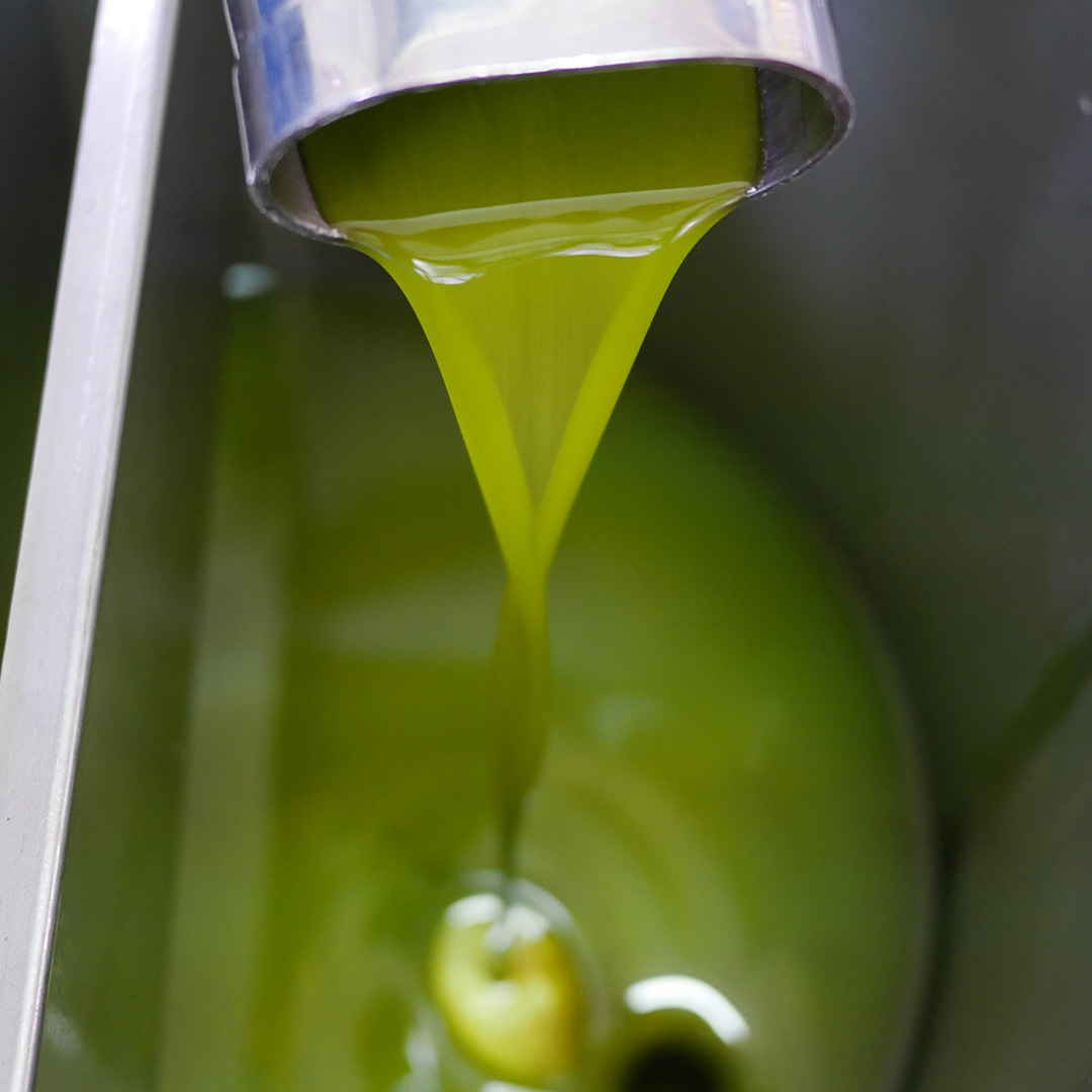 4907-olive-oil-1709214315489.jpg