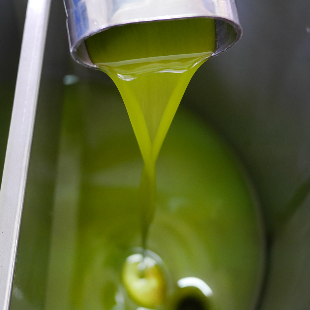 6036-olive-oil-1709214315489.jpg