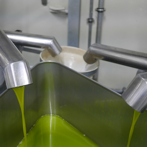How Extra Virgin Olive Oil Is Made