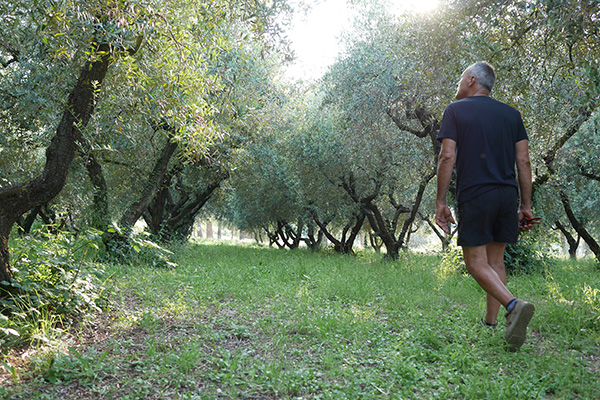 Ivano, what do you love about olive farming?