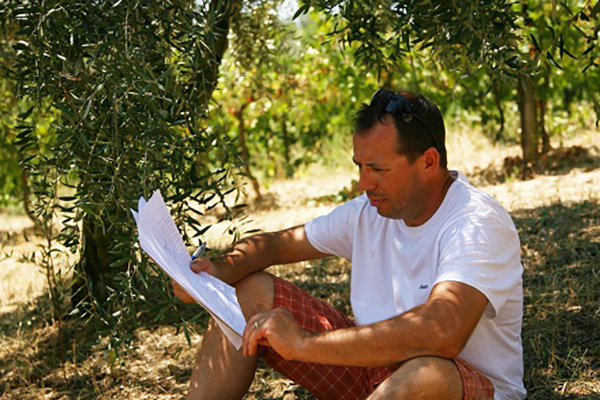 Meet Tiziano at Aleandri olive grove