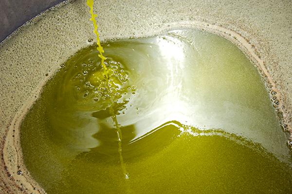 Olive Oil: The only oil that is extracted from a fruit