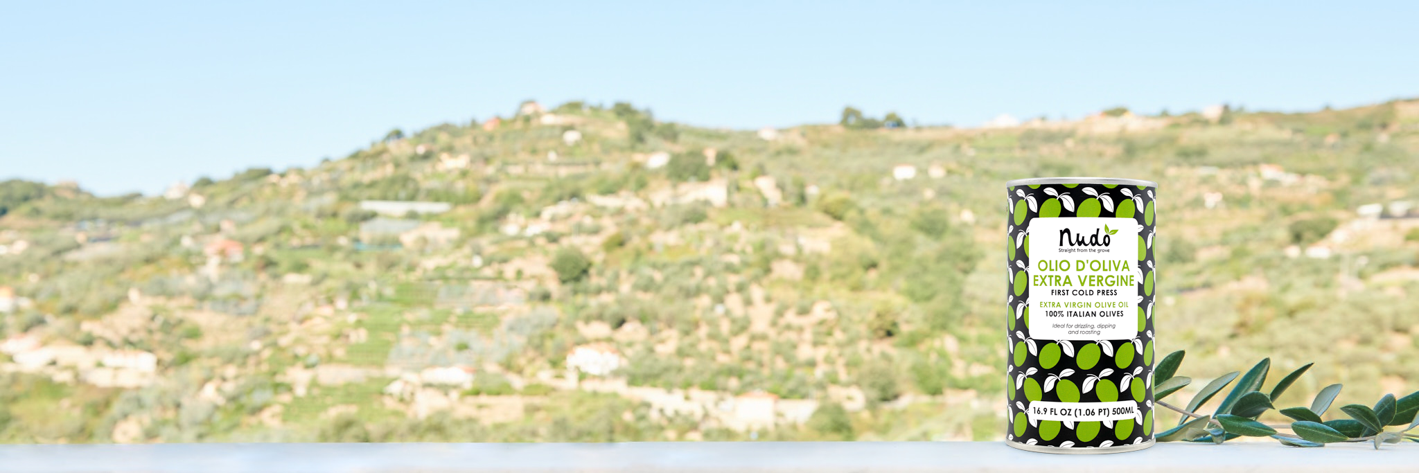 r1336-banner-backdro-evoo-17054870394851.png