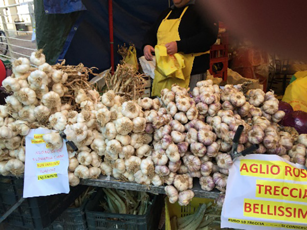 Garlic Stall