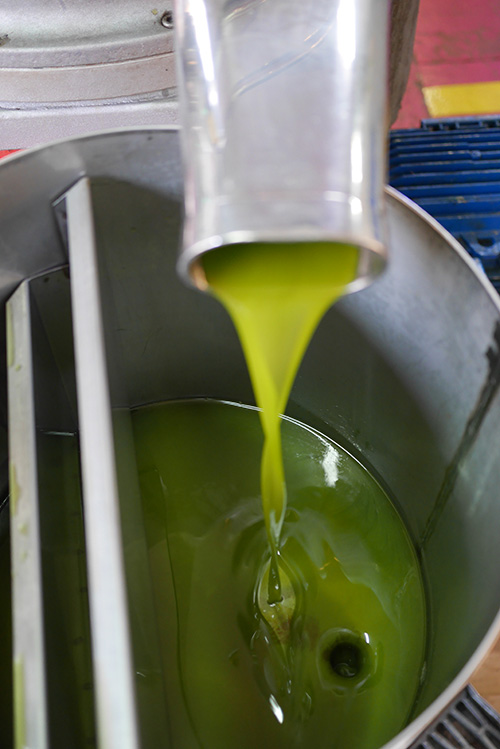 Unfiltered olive oil