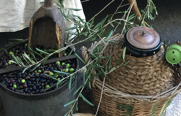 Olive Oil Equipment