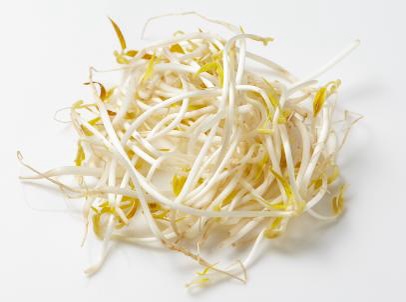 617-bean-sprouts-16890770464732.jpeg