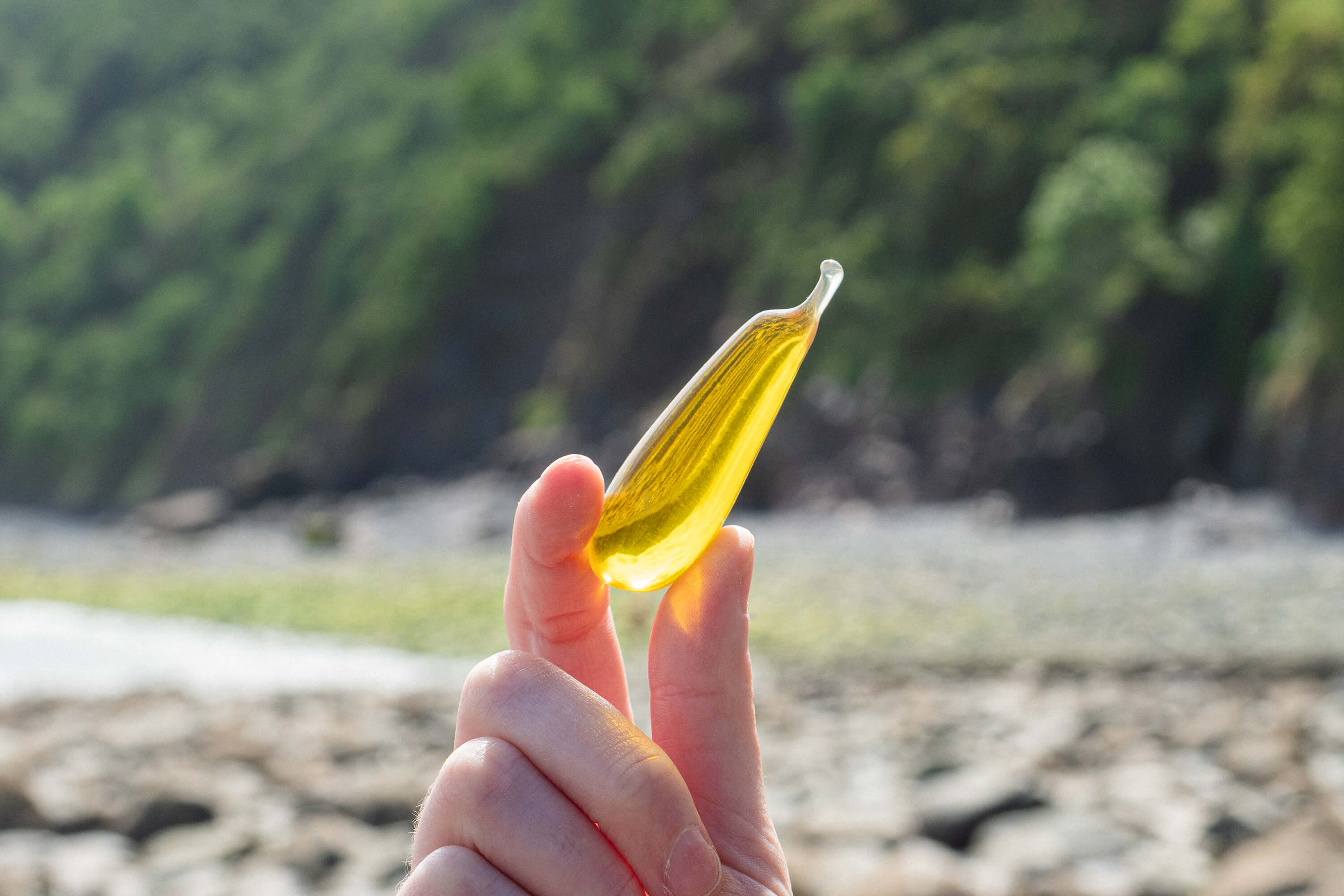 olive oil high in hydroxytyrisol this is the olive oil with the most polyphenols