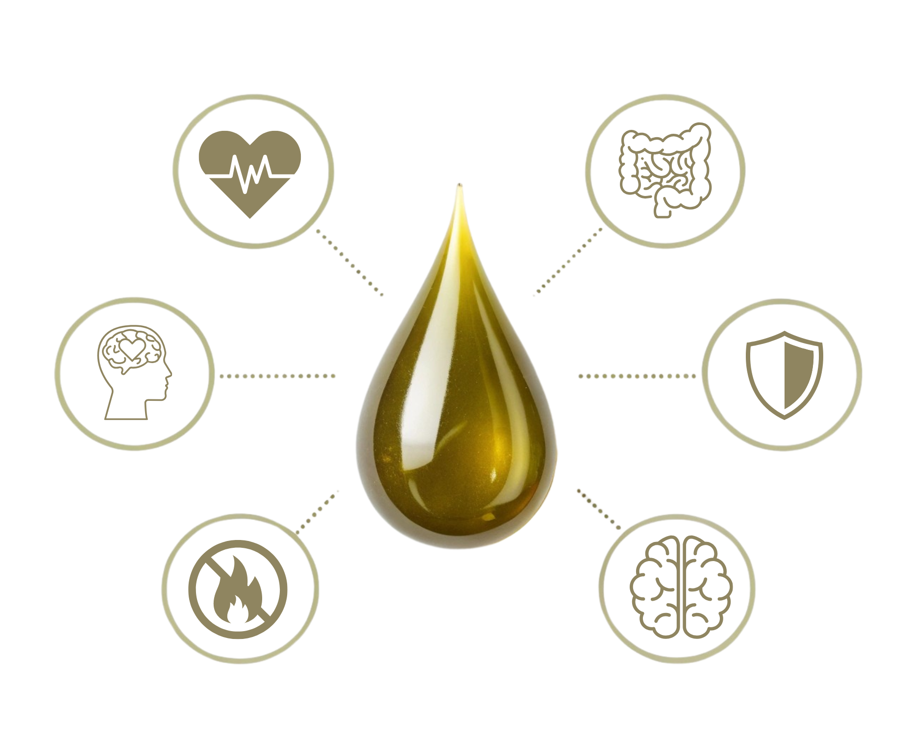 olive oil with the highest polyphenols