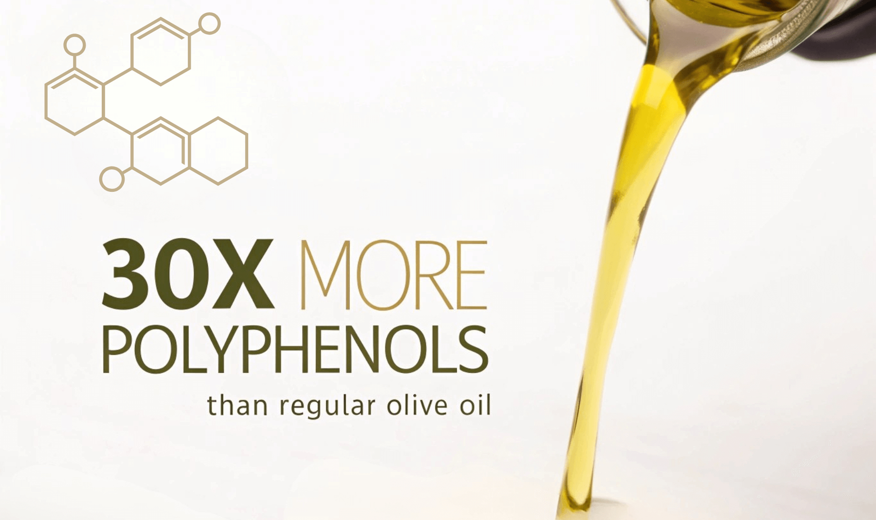 olive oil with the highest polyphenols olive oil with the highest polyphenols