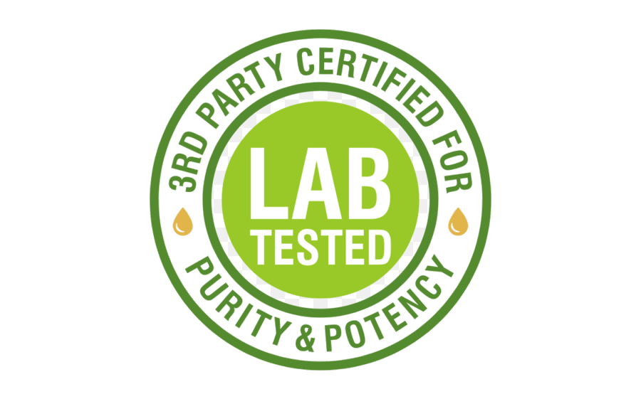 785-lab-17494694151406.png