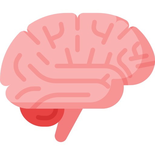 867-brain-17555082012966.png