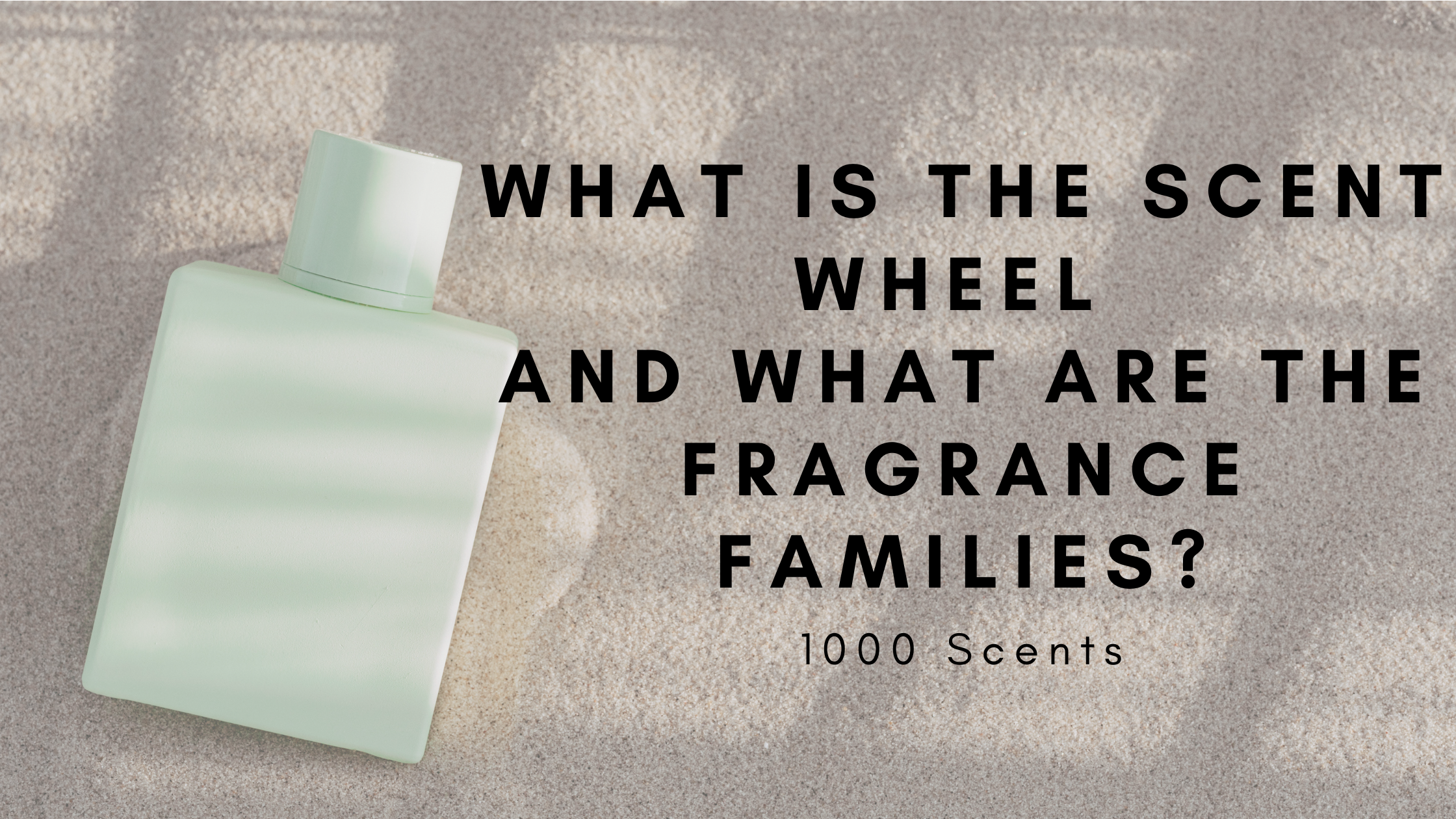 What Is The Scent Wheel And What Are Fragrance Families?