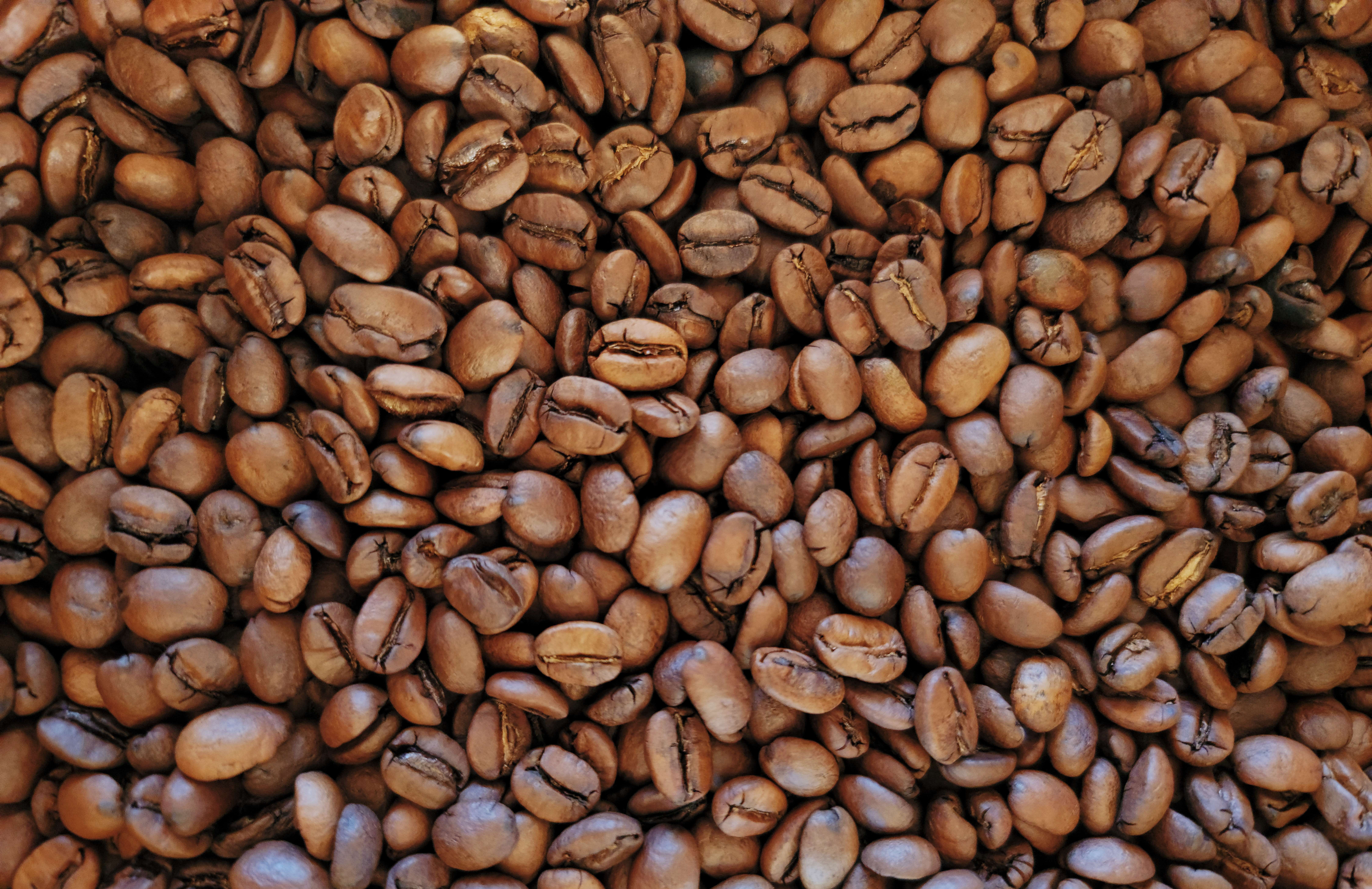 530-smaller-beans.jpg