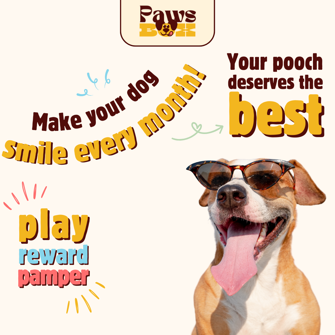 253-give-your-dog-a-treat-theyll-love-every-month-1-17246209252313.png