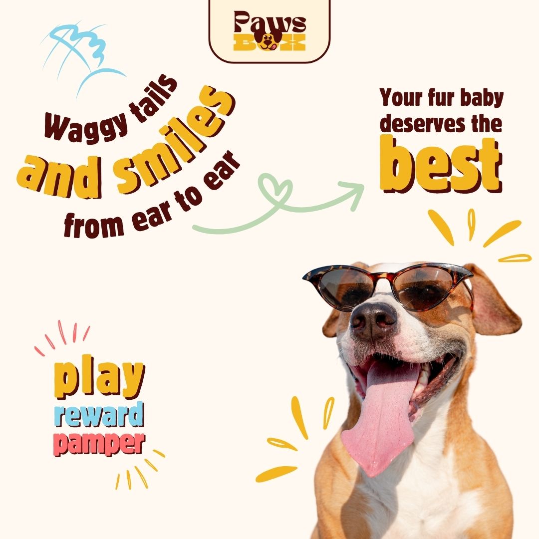Paws Box Paws Box