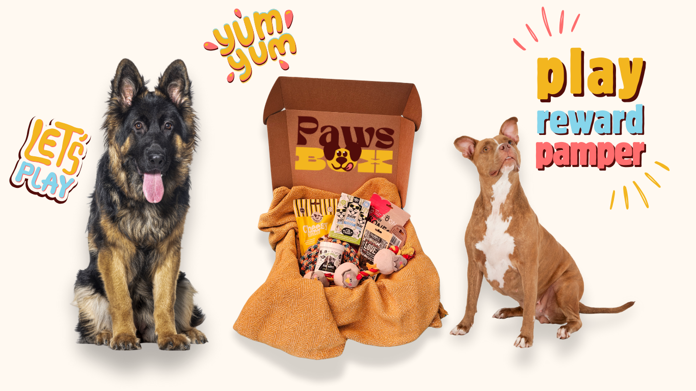 487-give-your-dog-a-treat-theyll-love-every-month-website-3-17248662887761.png