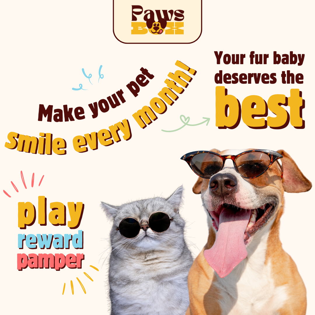 597-give-your-dog-a-treat-theyll-love-every-month-17245353682365.png