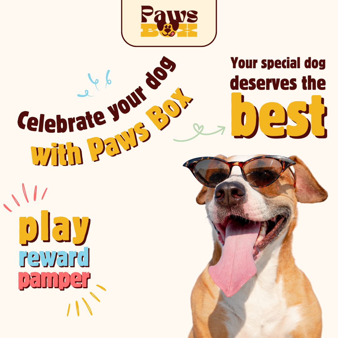 Paws Box Paws Box