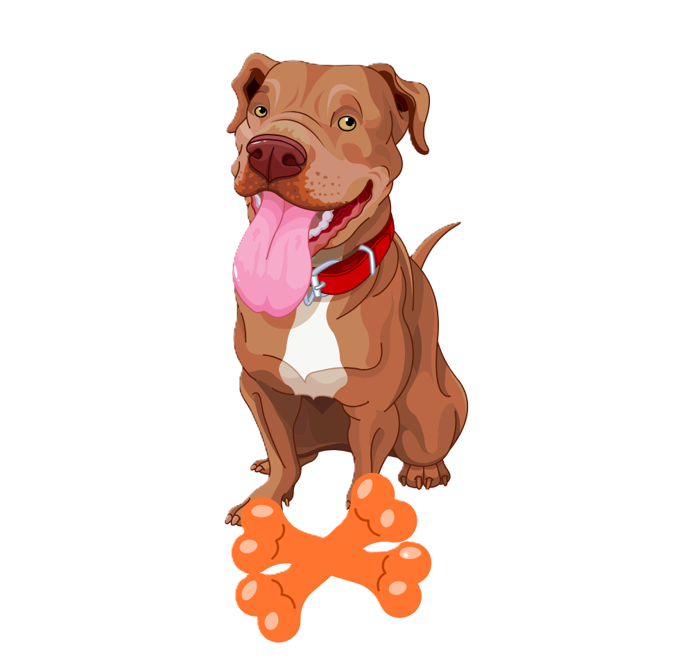 Dog chew toys