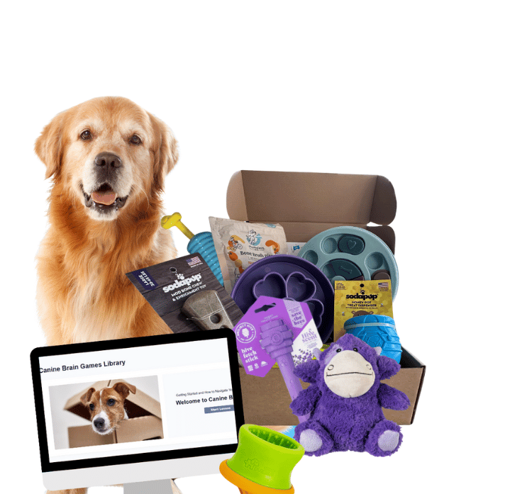 0177436974577-copy-of-website-page-banners-14-17515132063479.png