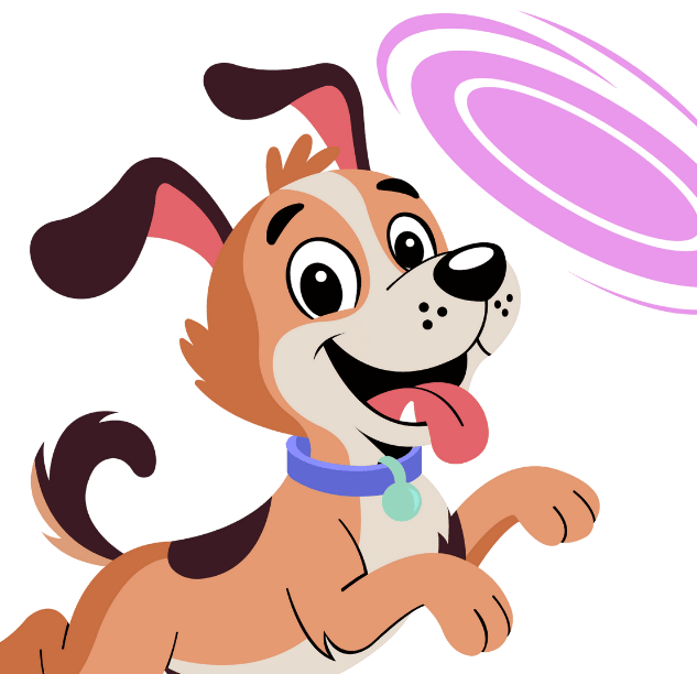 Dog chase toys