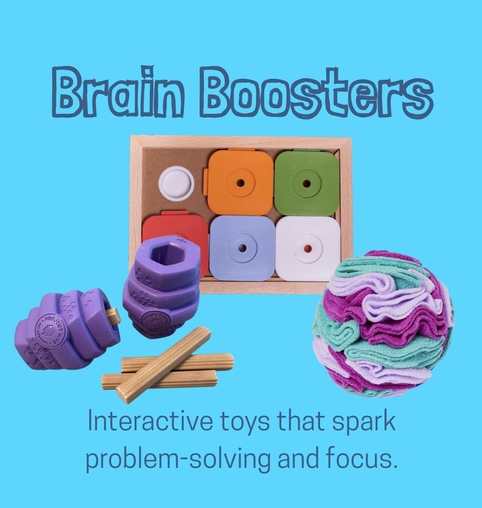 Dog puzzles and problem solving toys
