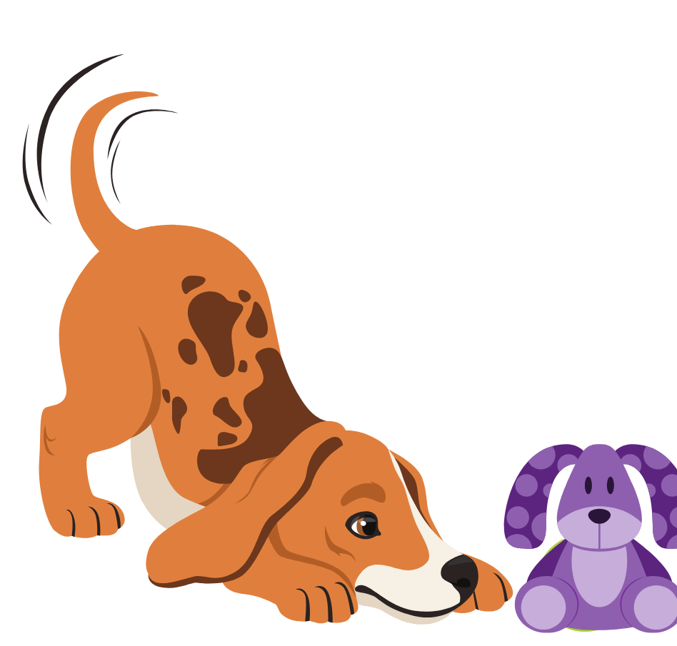 Soft dog toy