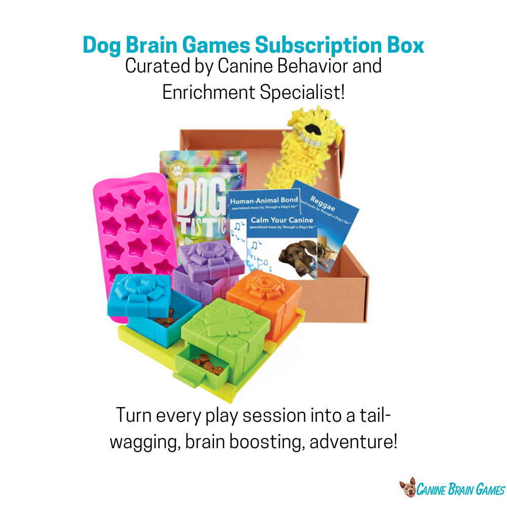 Canine Brain Games Box