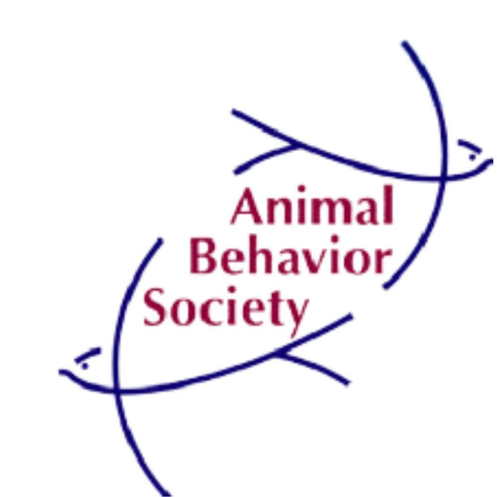 Animal Behavior Society