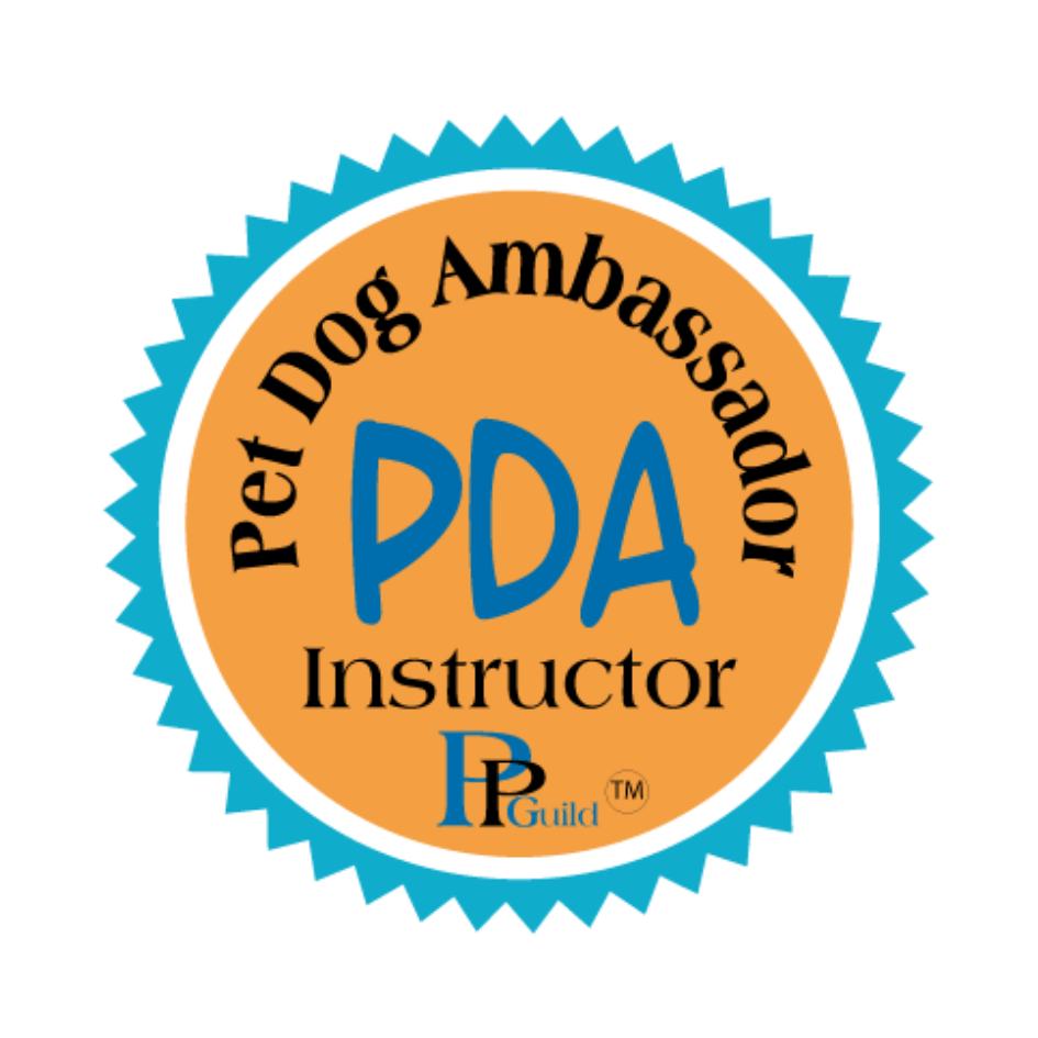 3312-pda-logo-17296916518041.png