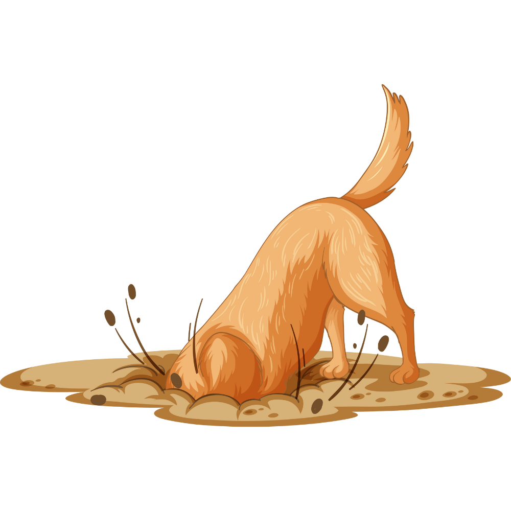 4104-dog-digging-17375117073306.png