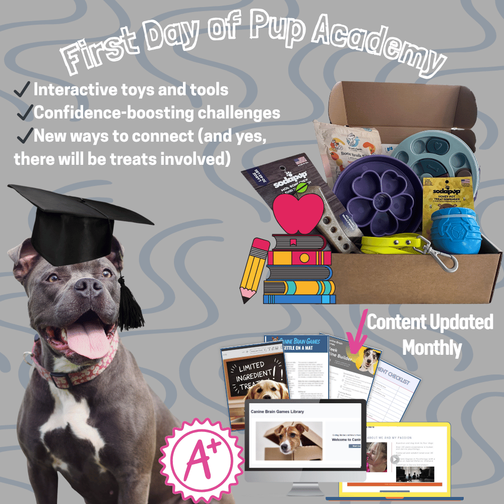 4168-square-facebook-ad-82-17528467200048.png