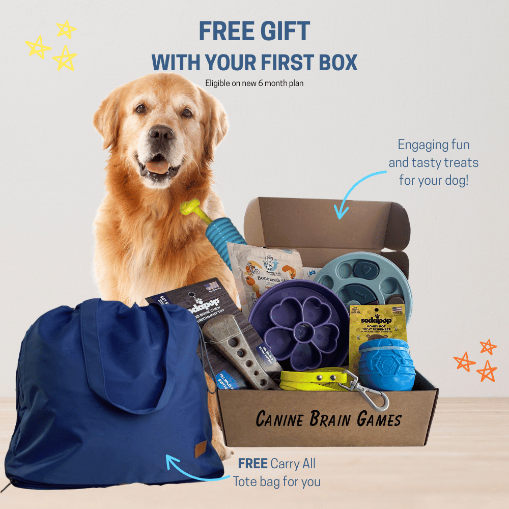 4227-square-facebook-ad-70-1748286111431.png