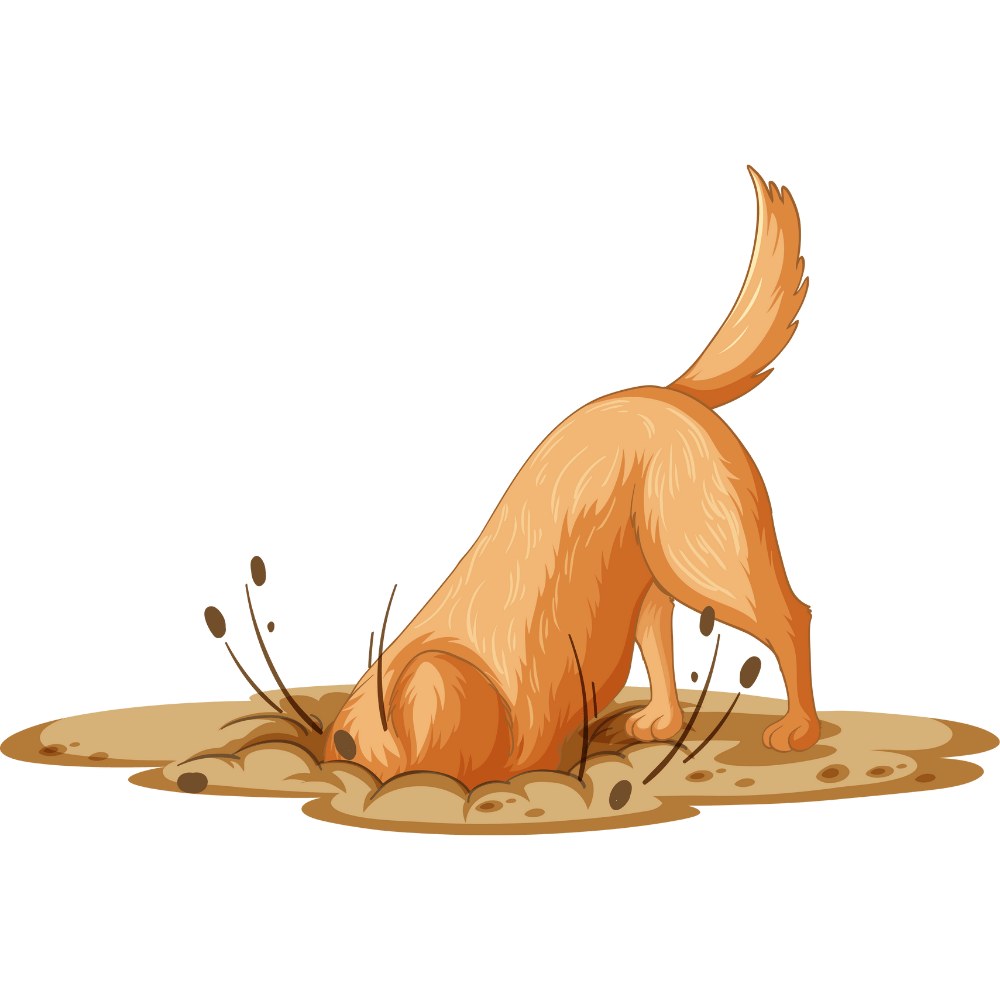 4538-dog-digging-17375117073306.png