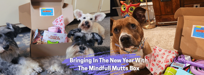 4657-facebook-banners-3-17522014930551.png