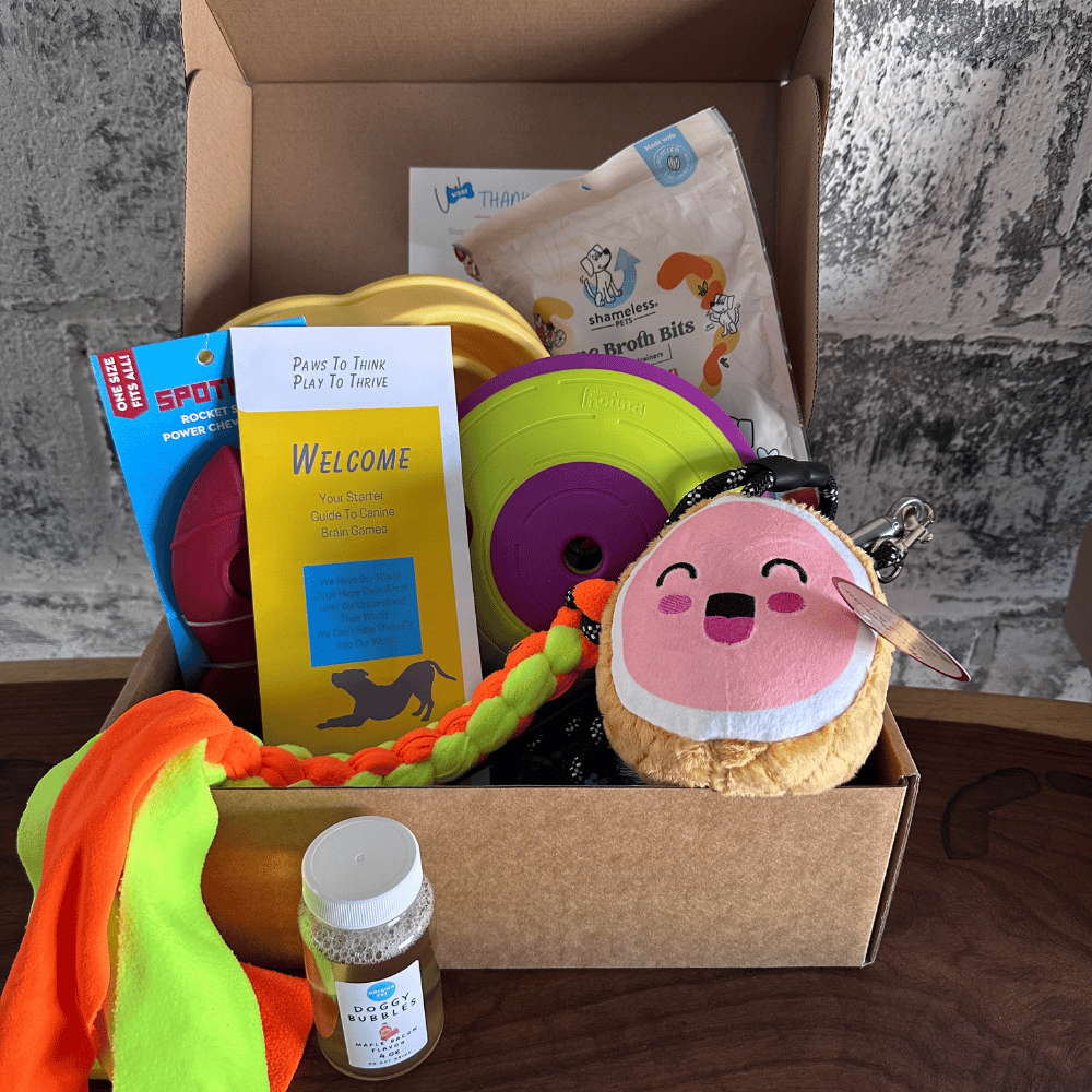 Canine Enrichment Box