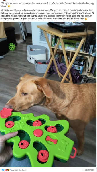 Holiday Myster Box and a happy pup