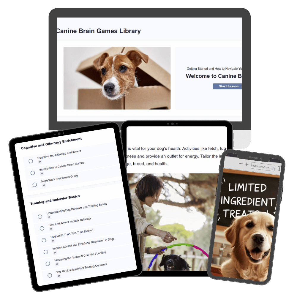 4708-square-facebook-ad-91-17574605935307.png