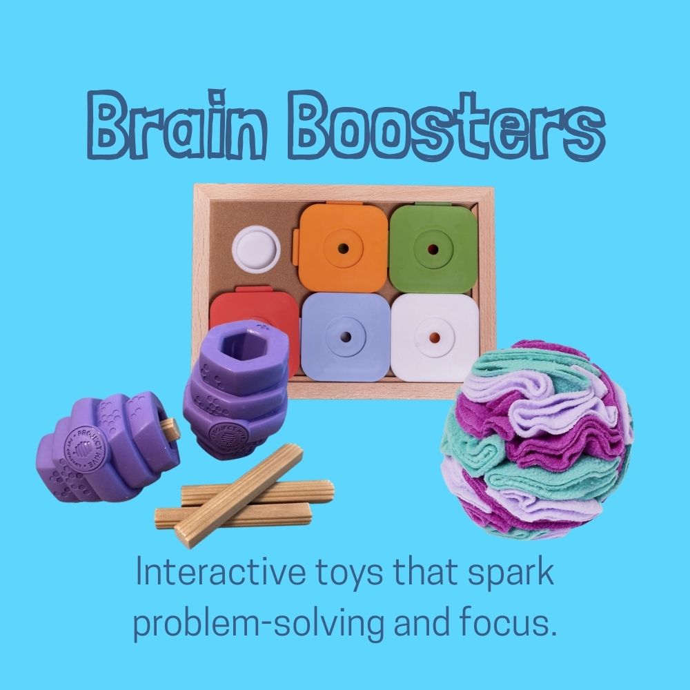 4731-brain-boosters-17574569873858.jpg