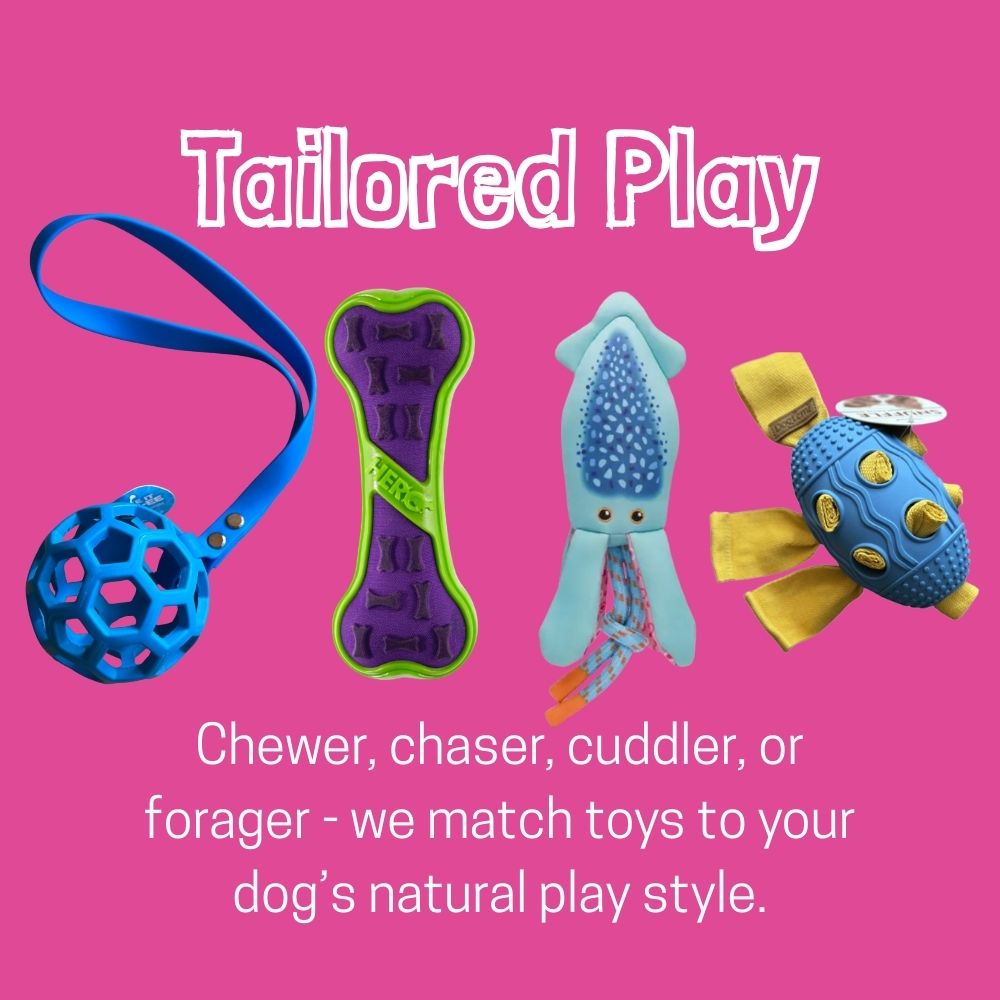 4731-tailored-play-17574569911078.jpg